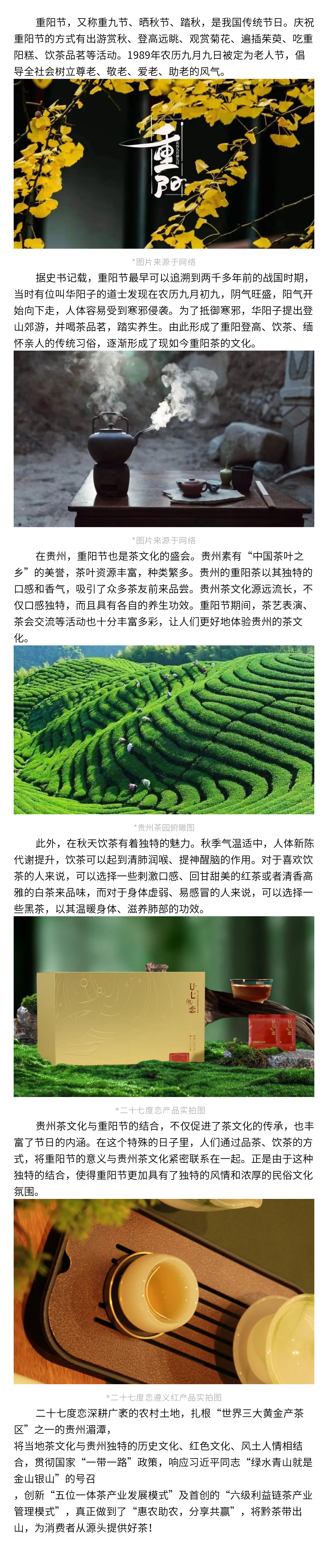 135editor_05131840_6641ee1e9bc0020240513184030.png